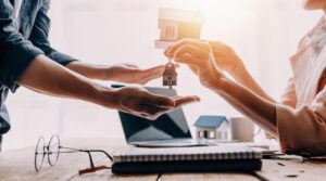 Property Limited Company